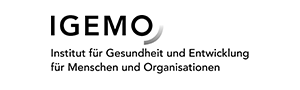 Igemo Software Engineering